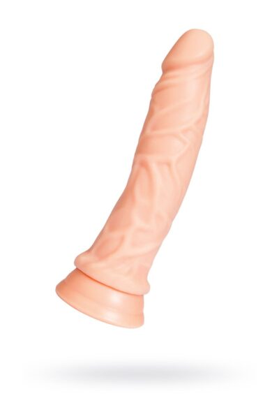 3234 ToyFa Dildo Nill